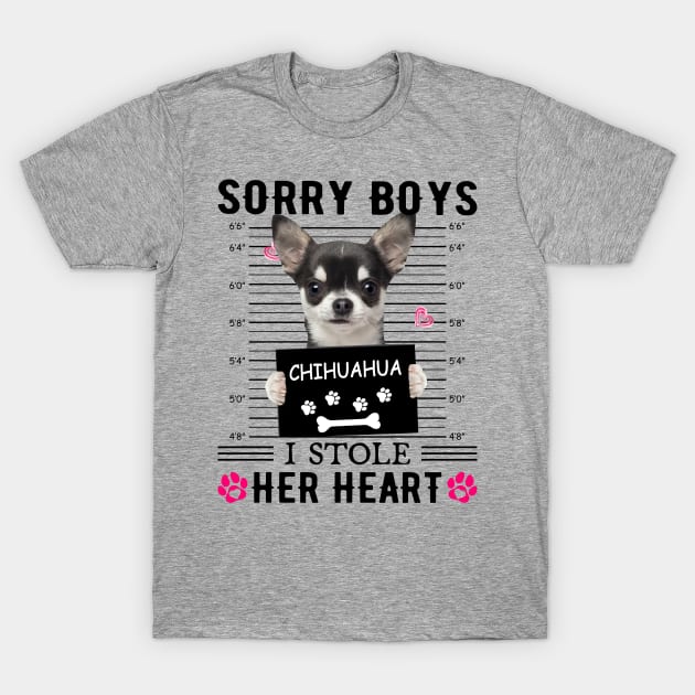 Black Chihuahua Sorry Boys I Stole Her Heart T-Shirt by PlumleelaurineArt